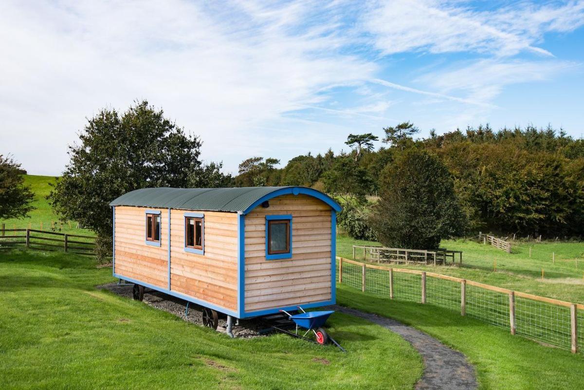 Cow Parsley Shepherd'S Hut Berwick Upon Tweed Exterior photo
