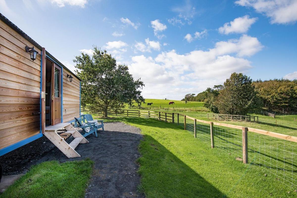 Cow Parsley Shepherd'S Hut Berwick Upon Tweed Exterior photo