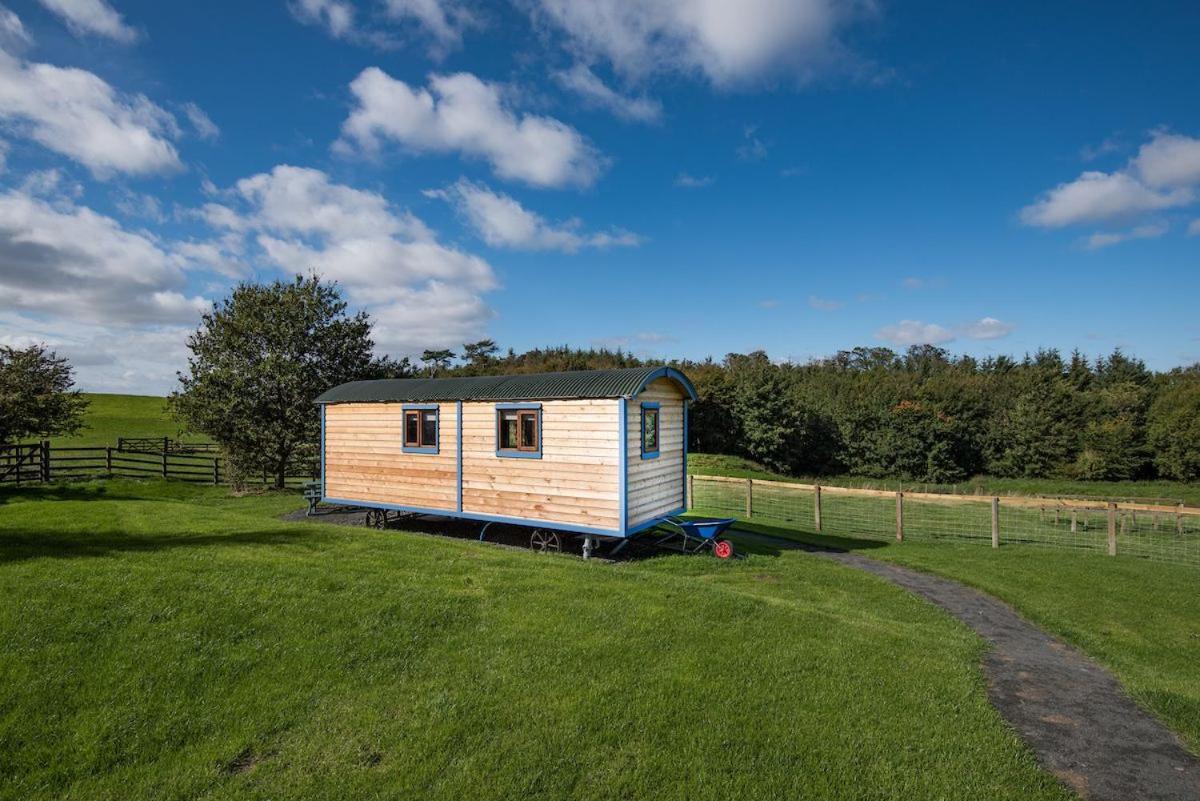 Cow Parsley Shepherd'S Hut Berwick Upon Tweed Exterior photo