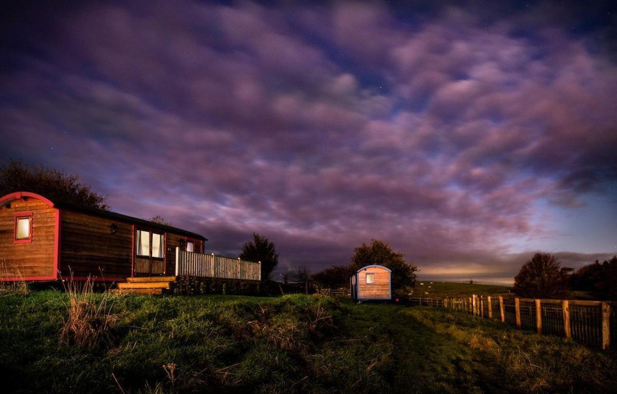 Cow Parsley Shepherd'S Hut Berwick Upon Tweed Exterior photo